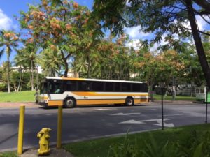 KCC学生の通学を支えているバス。ハワイ住民にとっても欠かせない交通機関です。(Photo by Megumi Gong)
