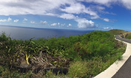 Best Hiking Spots on Oʻahu