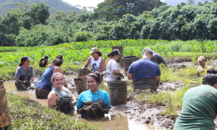 Ecology Club Gets Waist Deep in Mud