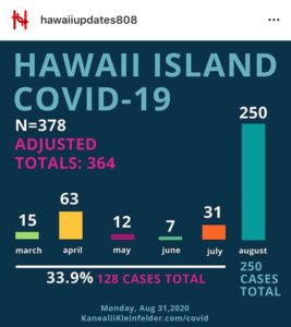 Infographic about Hawai‘i Island COVID-19 cases.