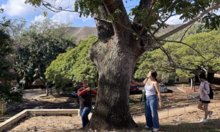 KCC Citizen Foresters Count Campus Trees