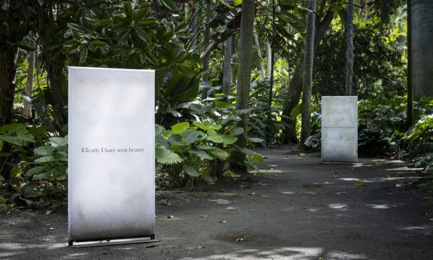 KCC Instructor Brandon Ng’s Path to Hawaiʻi Triennial Artist