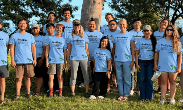 KCC Works With CERENE For A Sustainable Future